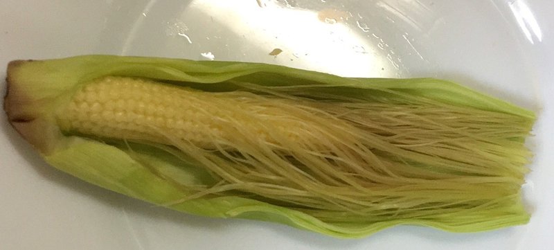 ヤングコーン追記 インドの豆チップス パーパド を食べる Nankado Note