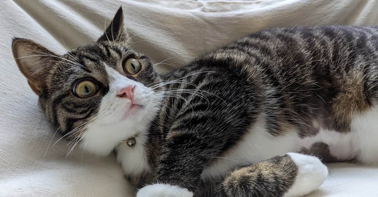 MDSの原因と危険因子