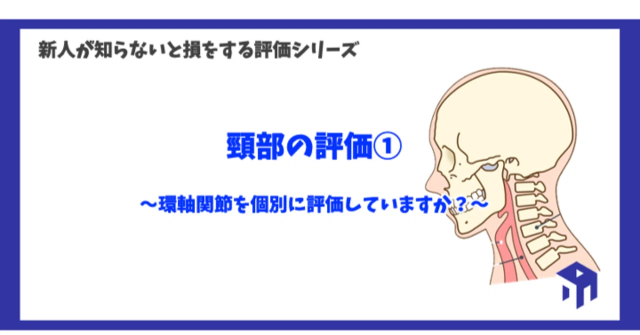 頸部の評価①｜加藤淳