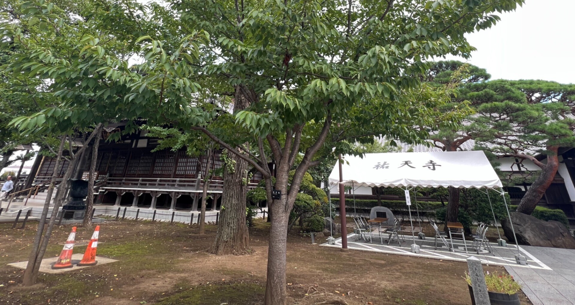 祐天寺駅周辺の魅力を発信する会【公式note】｜note