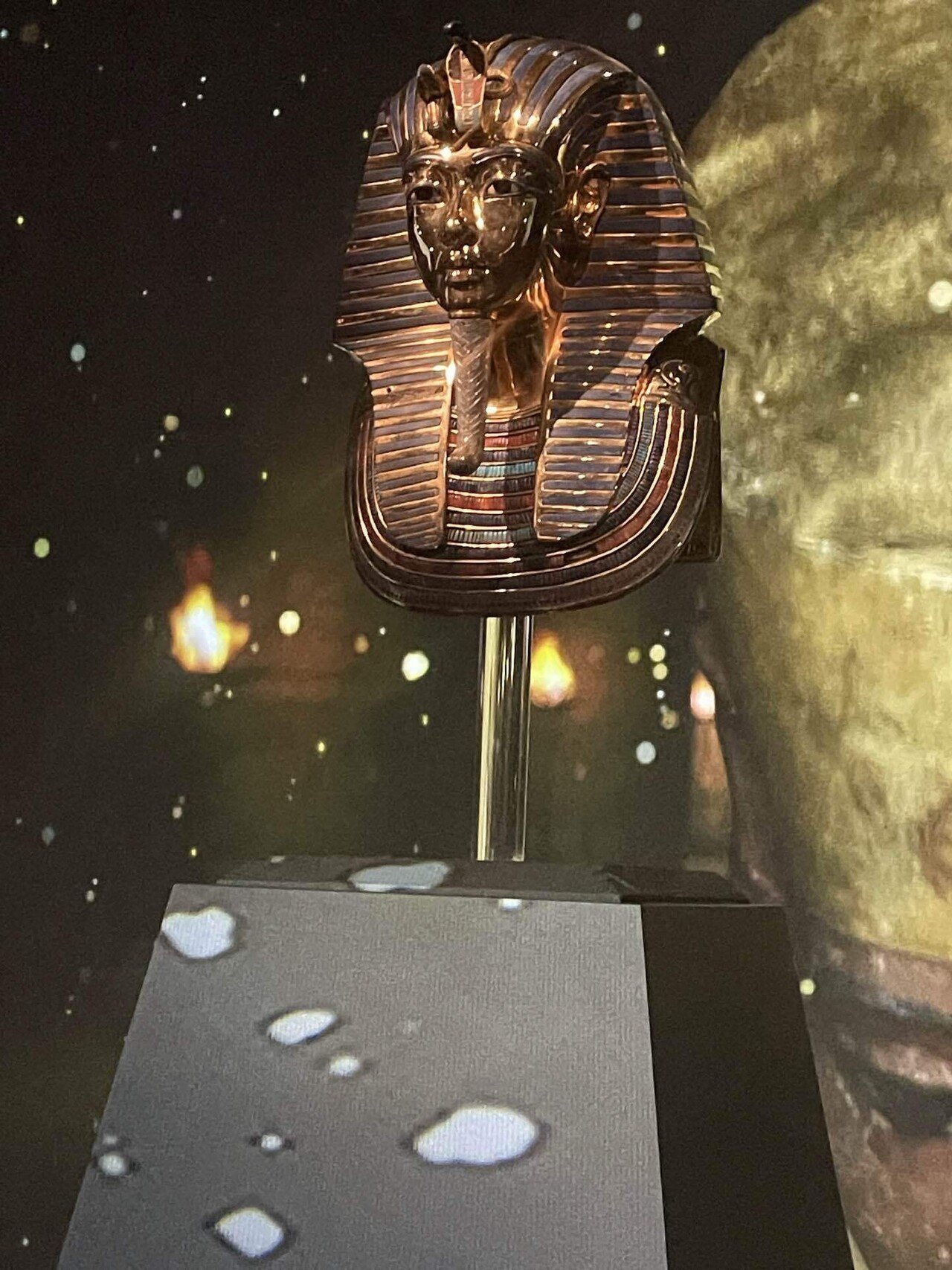 2,400円で古代エジプトを体感できる@KADOKAWA武蔵野ミュージアム 2,400円で古代エジプトを体感できる@KADOKAWA武蔵野ミュージアム
