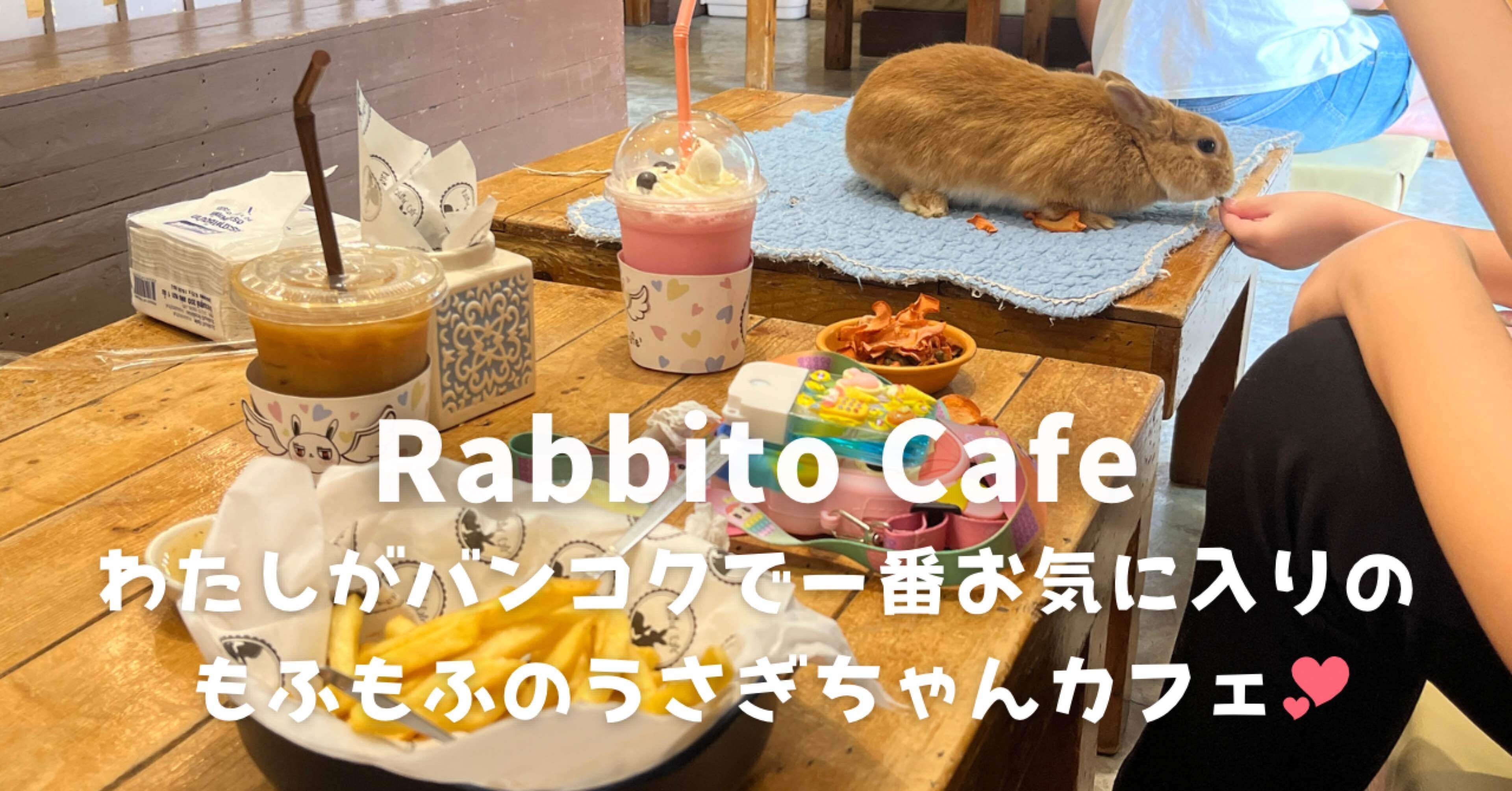 バンコク】うさぎ好きにはたまらない🐰居心地最高のうさぎカフェ
