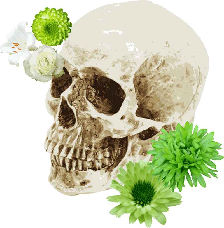 ドクロと花 おかむ Note