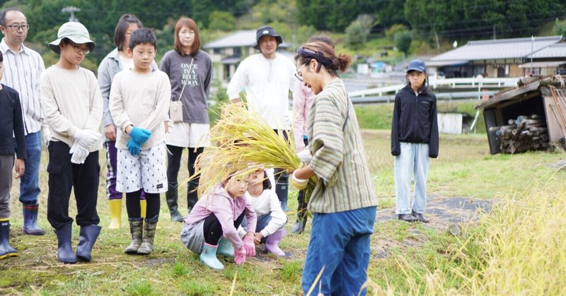 下呂のゲストハウスで稲刈り