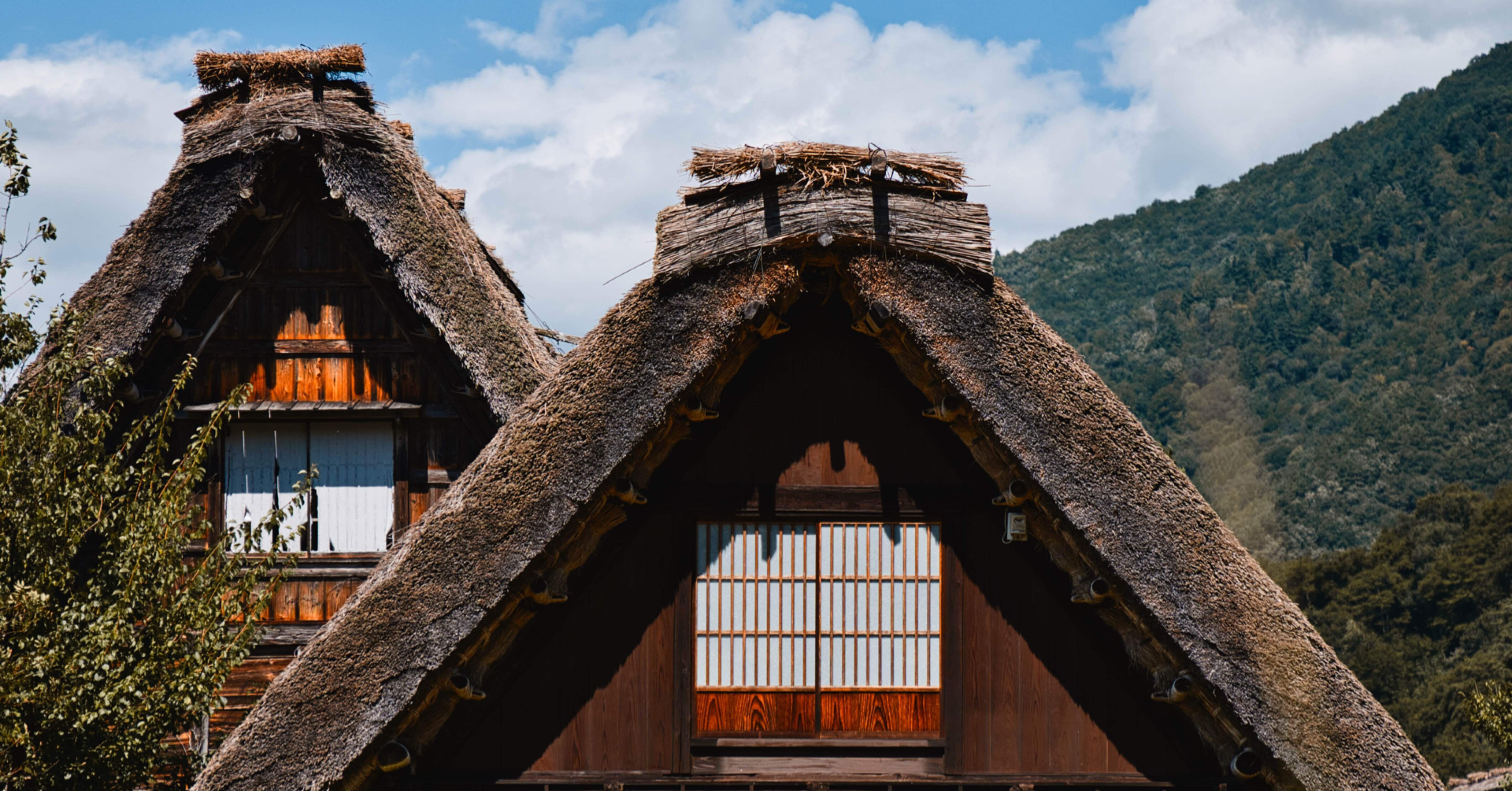 1d99cc8e92ac2d409e227997ee59e5