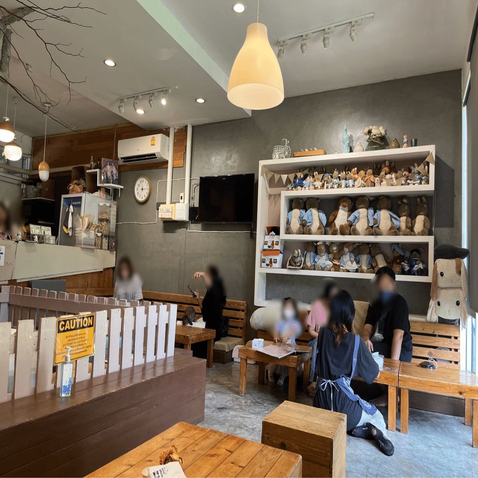 バンコク】うさぎ好きにはたまらない🐰居心地最高のうさぎカフェ