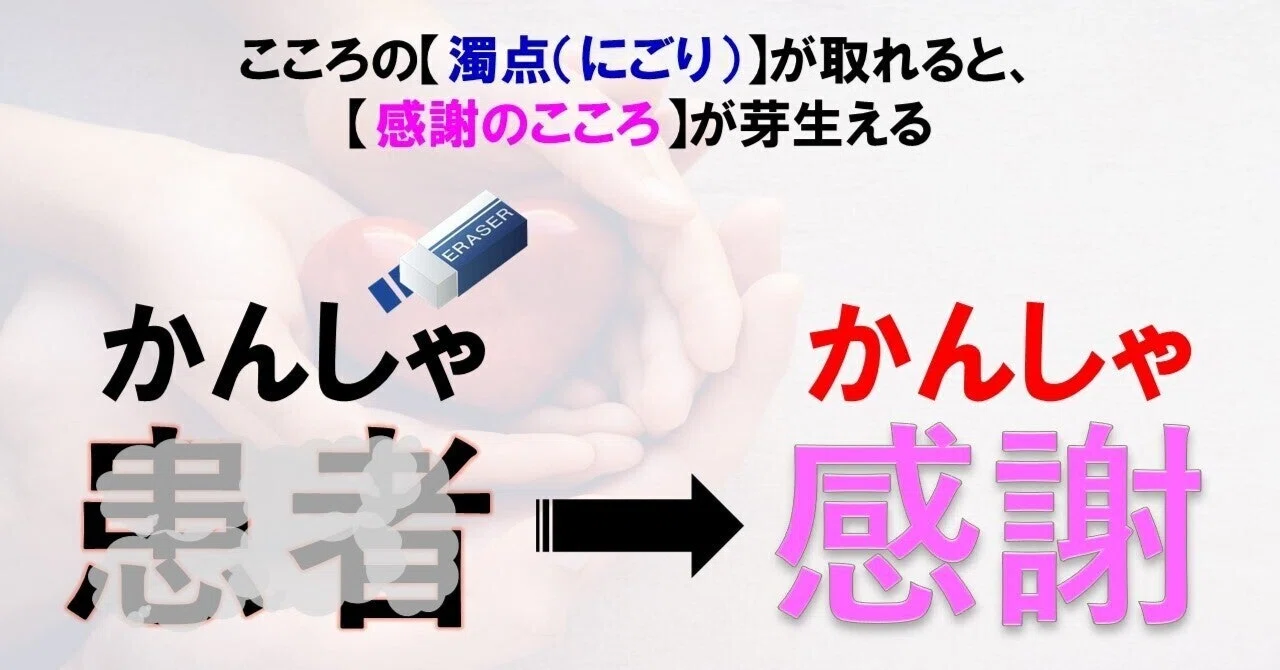 二人に一人が罹る「がん」治療の盲点|Sustainable Q