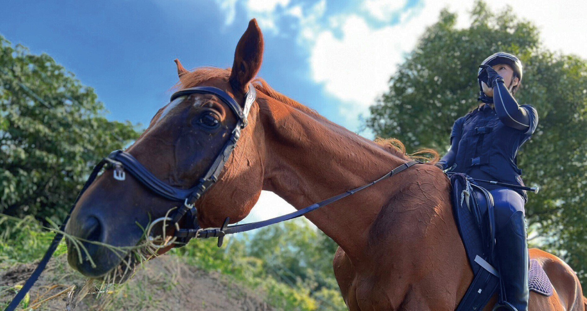 瀧社長法人企業をサポートするプロマーケター