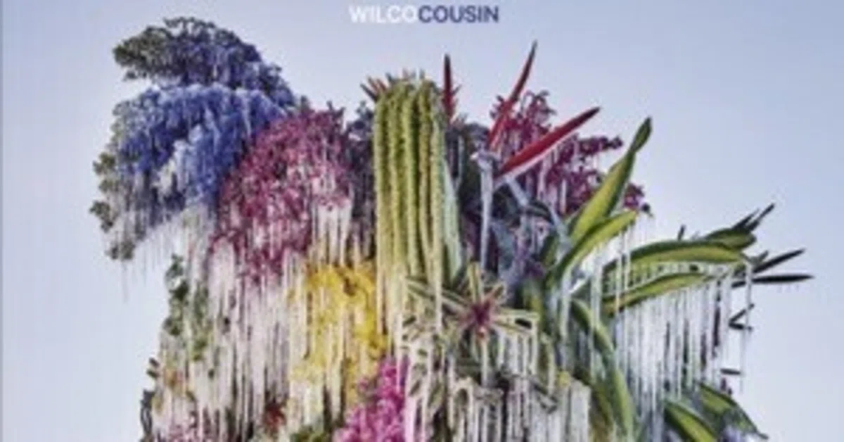 Cousin / Wilco｜スノーウィの戯言