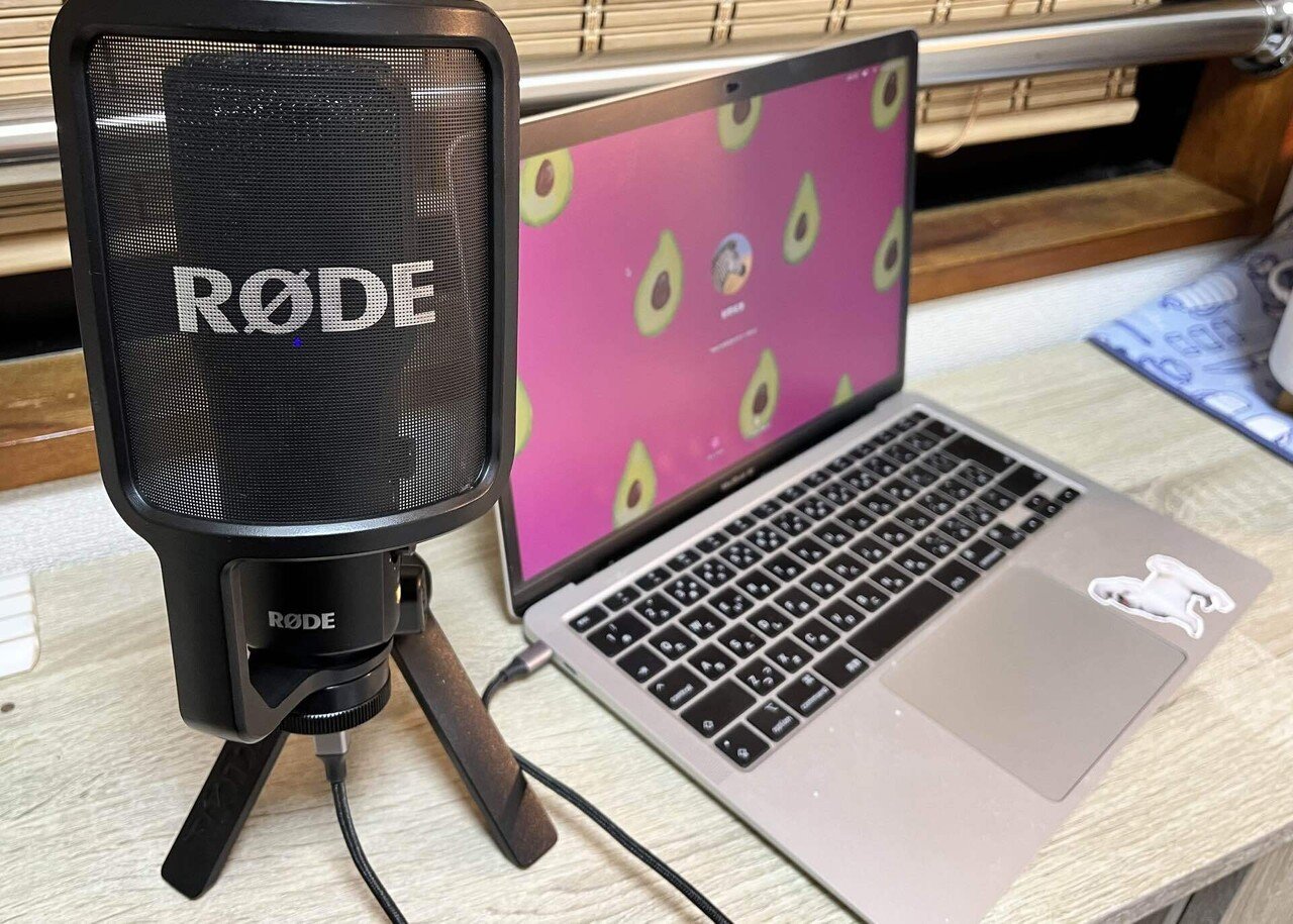 ズボラな私が持ってるマイク紹介🎤｜Henry's Vocal Training