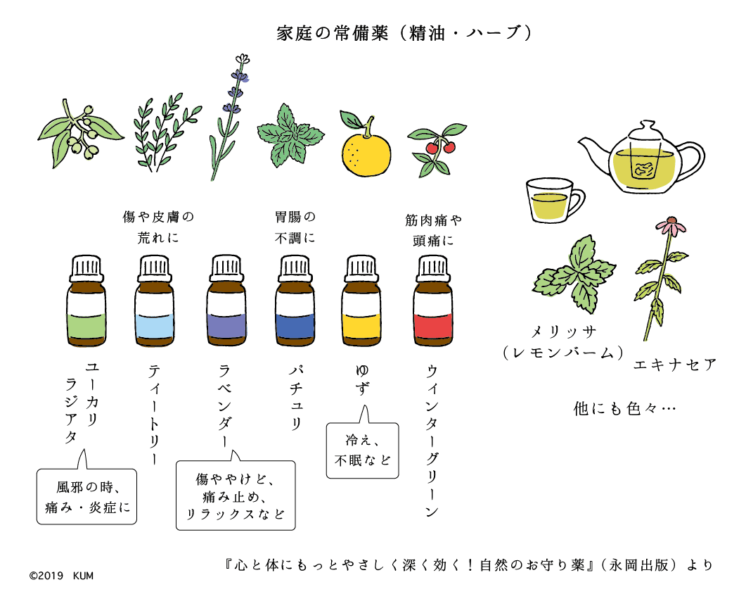 レトロな『家庭の医学』。｜haniho_kum