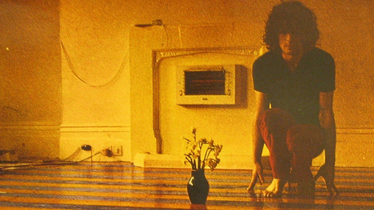 33a4ee8f067d0b1c80a87e3c62f887