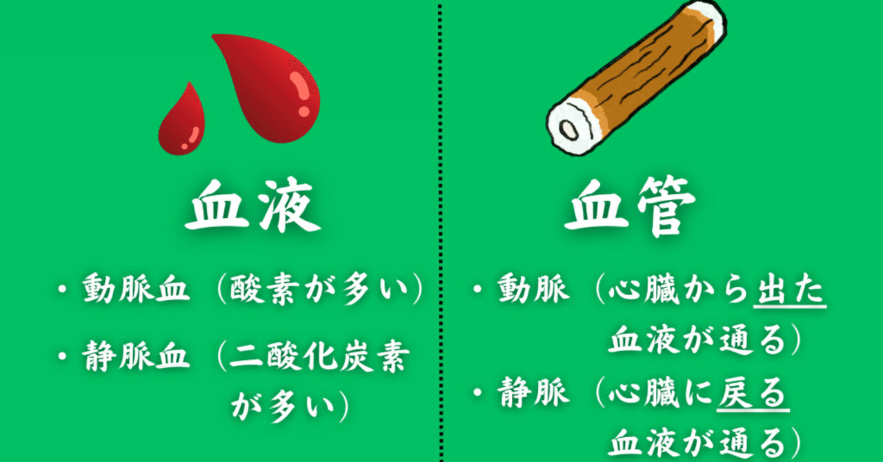 体循環と肺循環【中2・理科授業プラン】｜ひらもとなおき