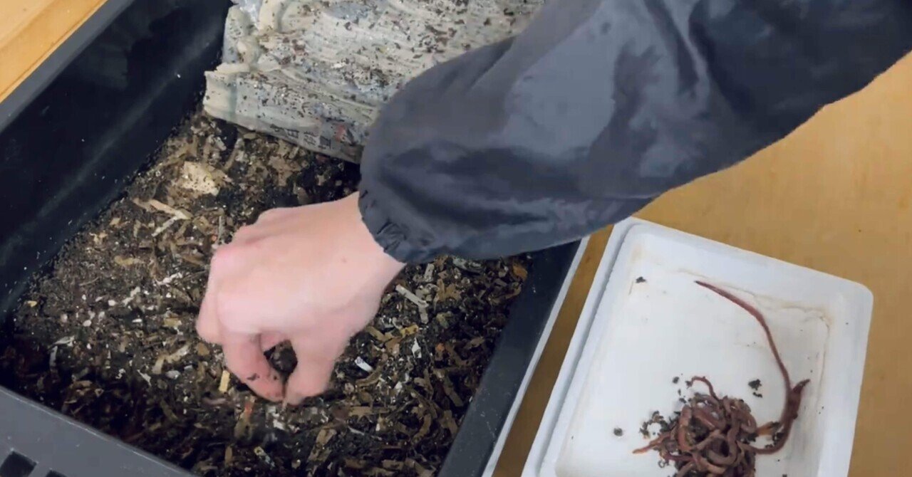 シマミミズ 2000匹　生ゴミ処理、肥料、その他 楽天市場】ミミズコンポスト コンポスト容器 補助金 みみず