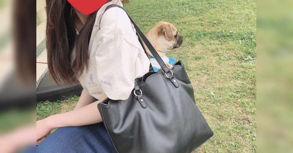 彼女と犬 たんたん Note