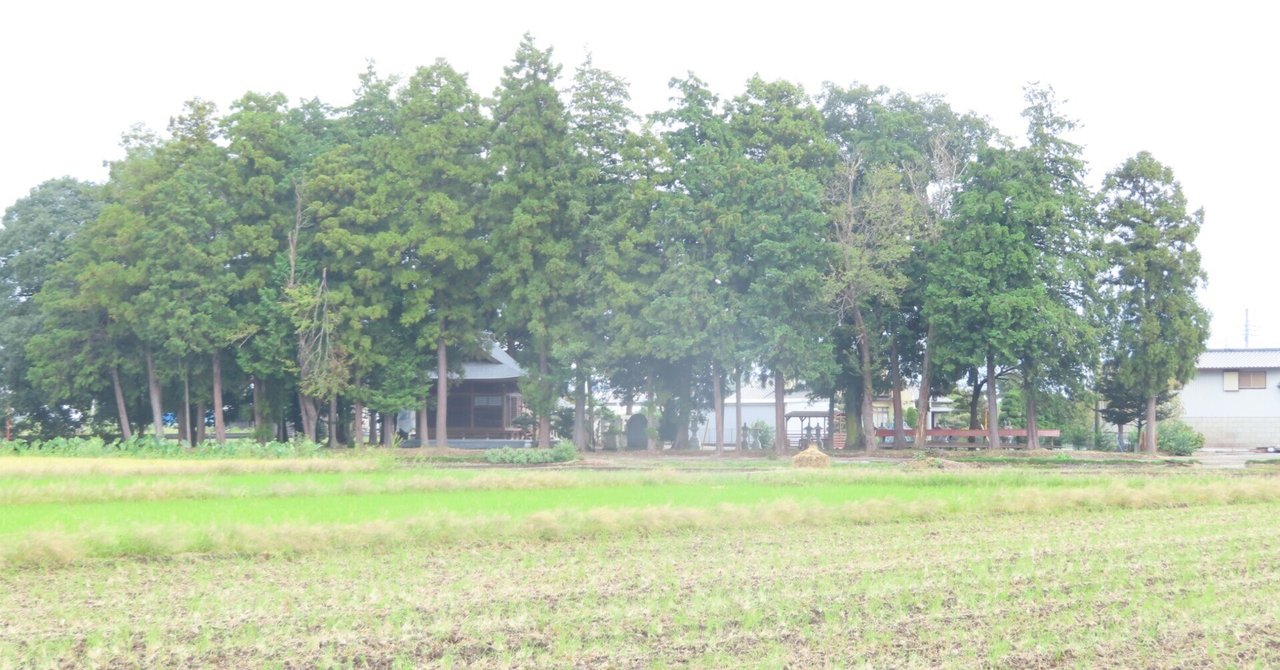 姿川の右岸にて|ekzemplaro