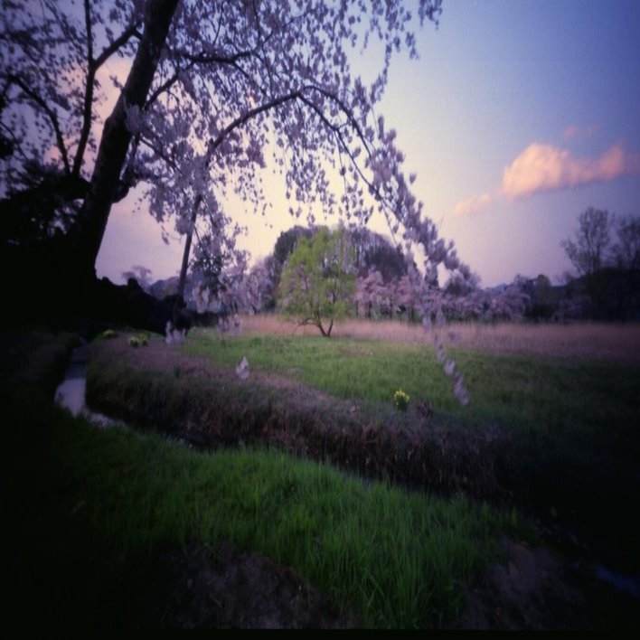 中判ピンホールカメラ（HOLGA-120WPC）｜歩きまわる写真館・ひらい