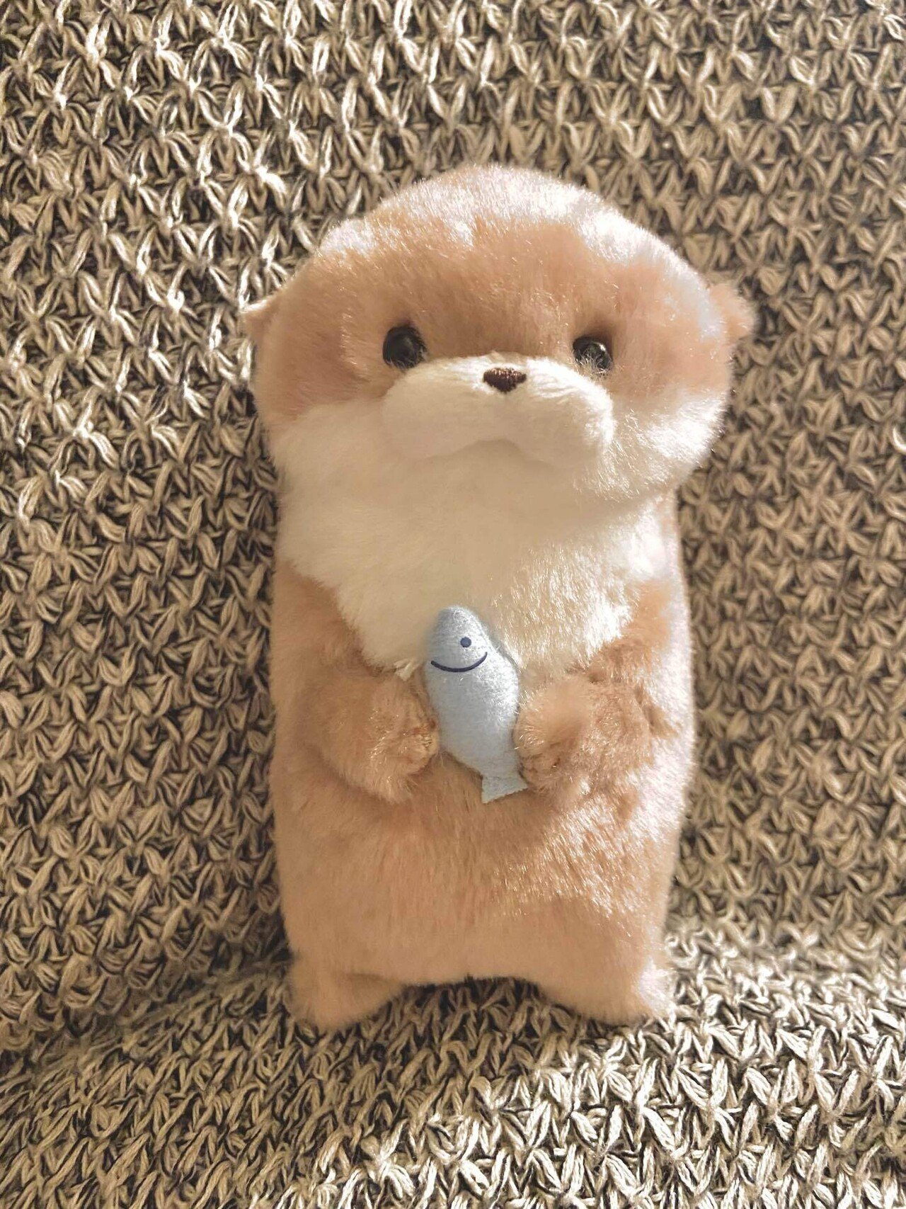 岩永の本体が届きました|岩永俊☕️ばくが珈琲