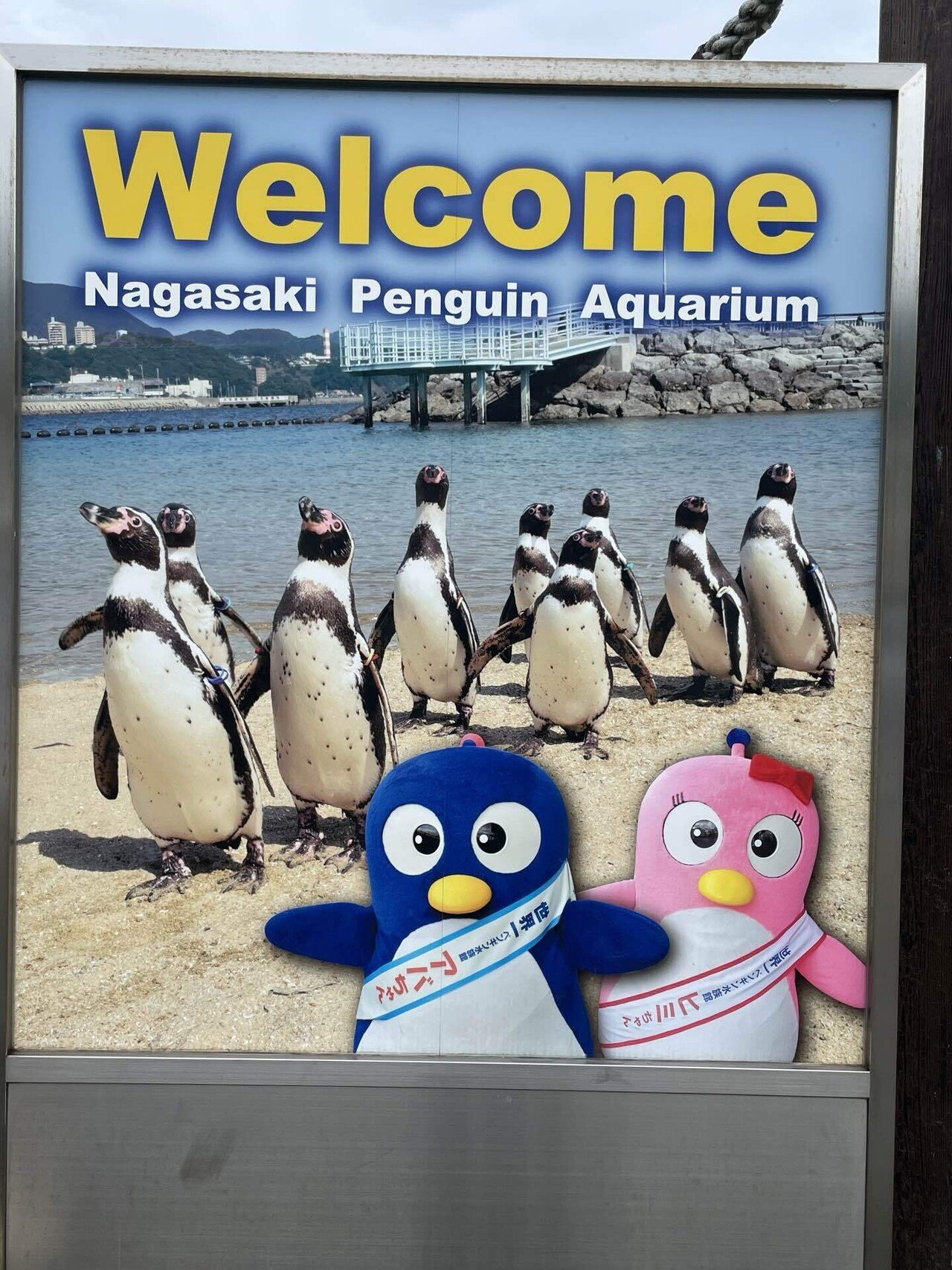 九州急襲ペンギン長崎｜Shomin Shinkai
