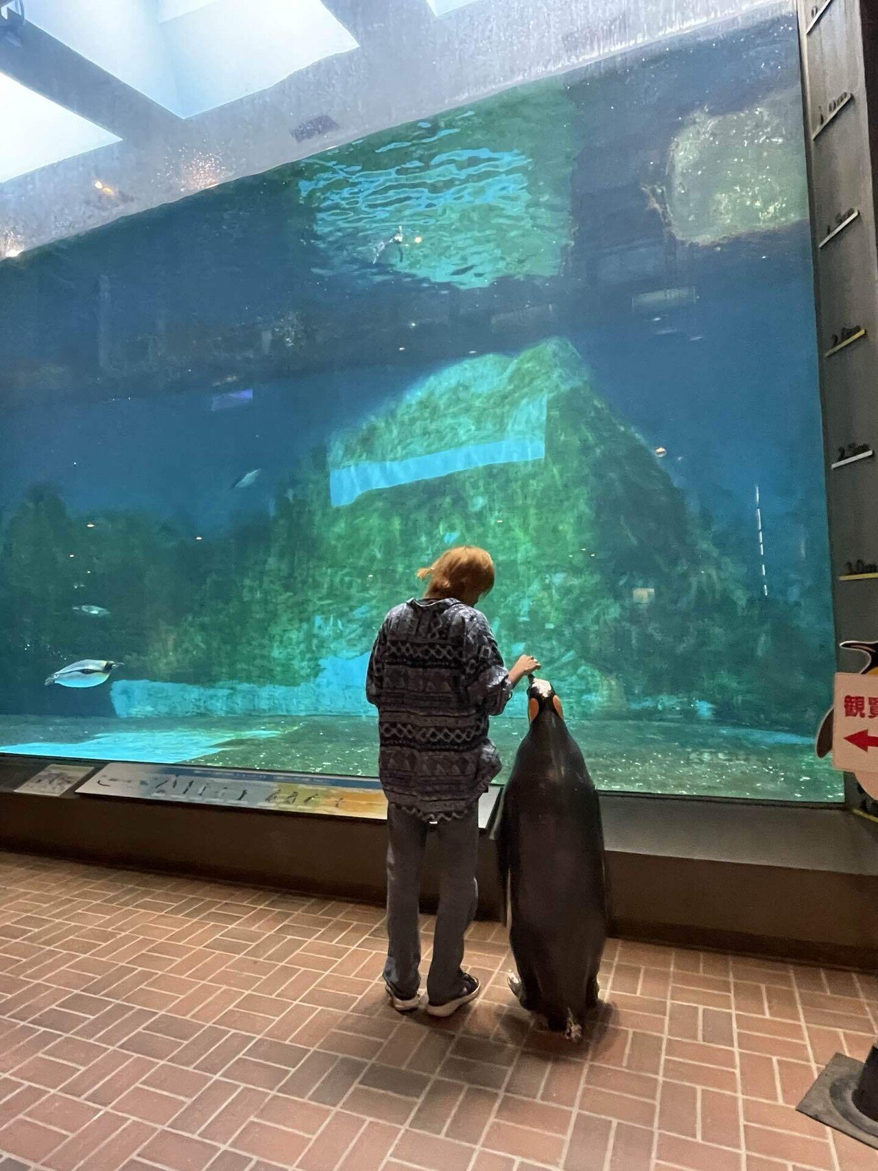 ぺんぎん 過激なパワーと加速力。艦の称号がここにある／ZX-12R(2002) | 試乗