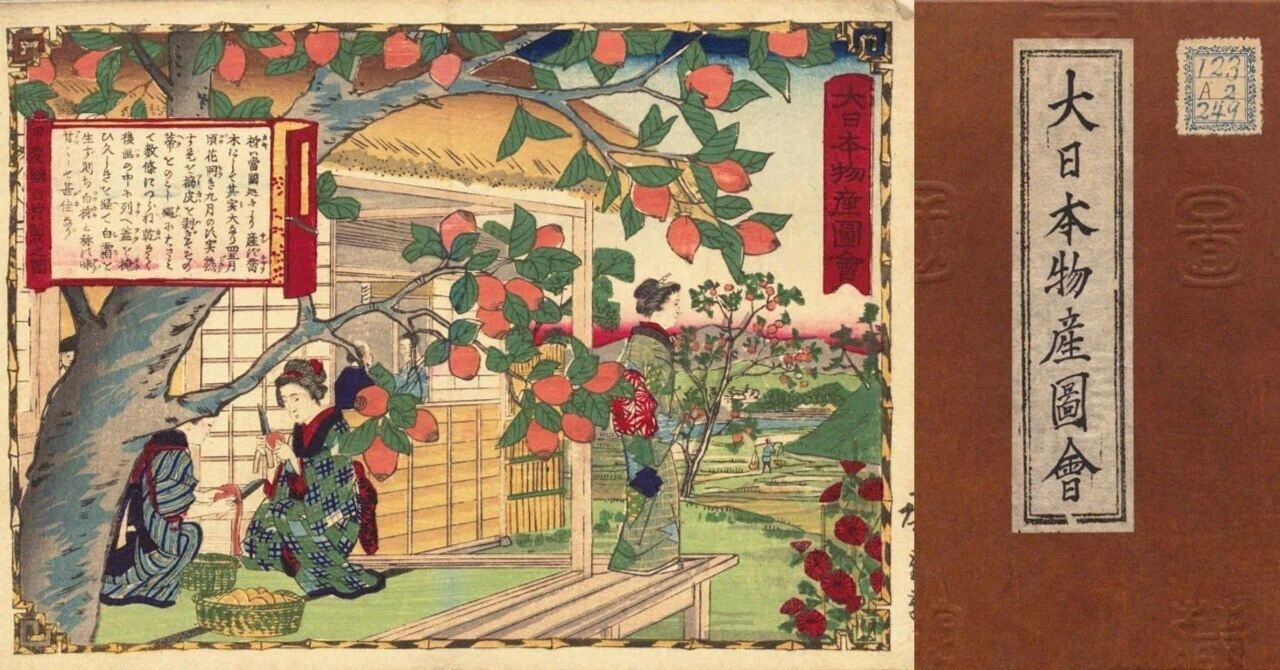 大日本物産図会 まとめ｜mominaina
