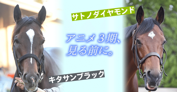 サトノダイヤモンド初年度産駒ボウルズの20に2400万円／ブリーズ
