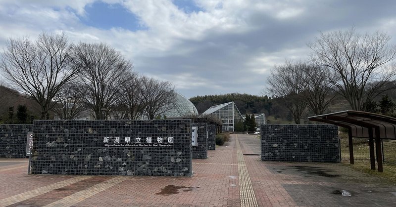 県立植物園内に日本建築科3年生が東屋を製作します。