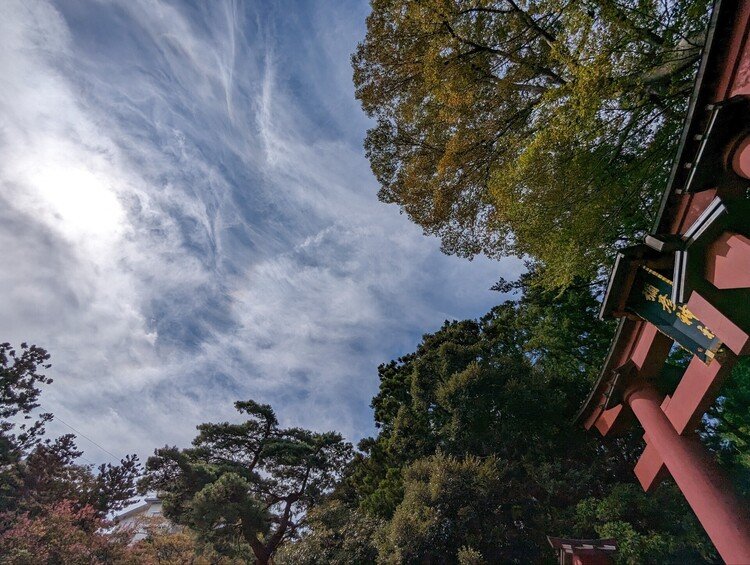 今日は彌彦神社⛩️に参拝すると決めていた。すっきりとした秋晴れ。絶好の参拝日和。