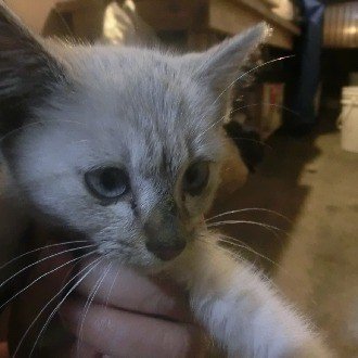 発達障害はキャパシティが狭くなるので絶対に無理はしない方がいい りーろん Note