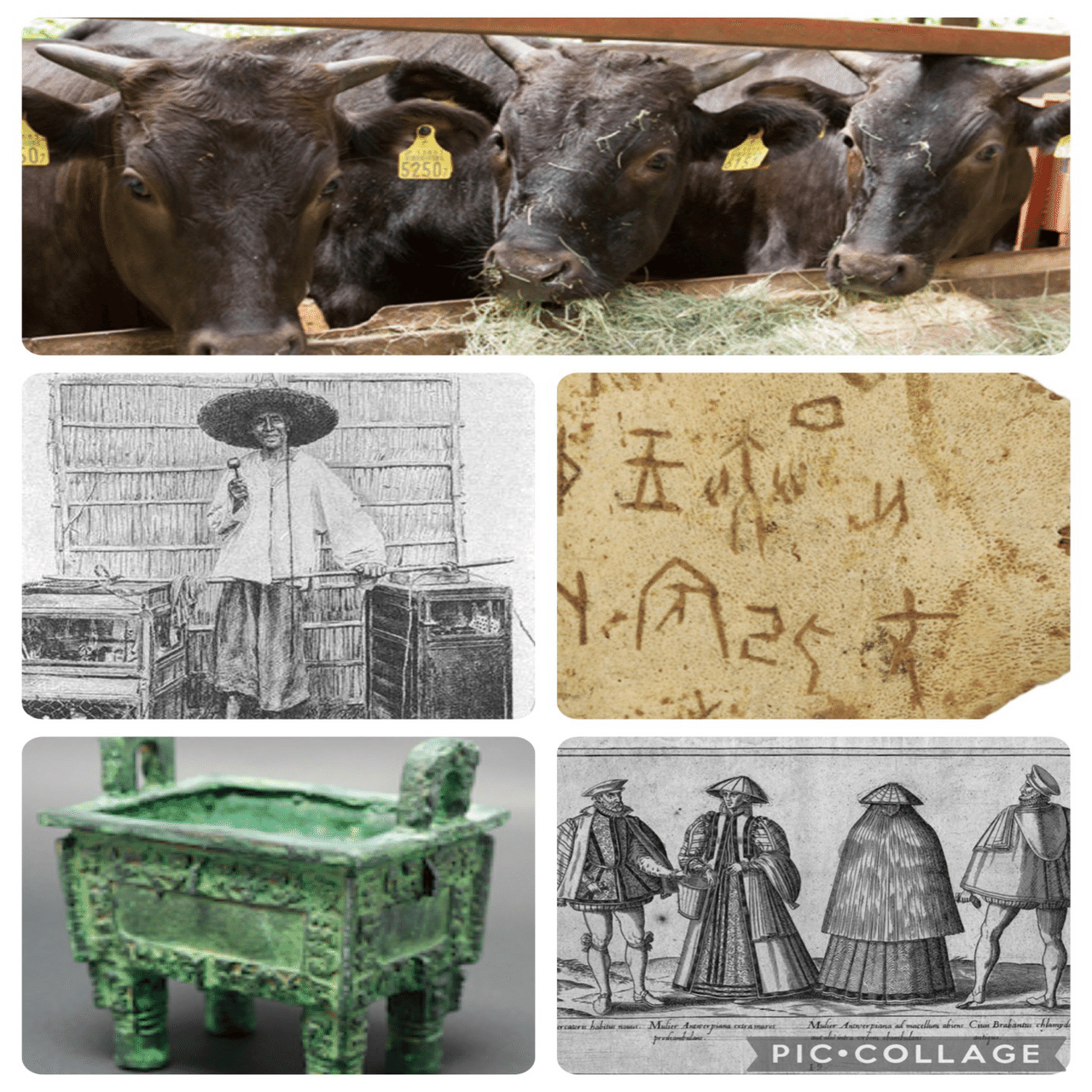 商いは牛のよだれ｜でんしゅう🌏占い鑑定とコーチングの相乗効果で