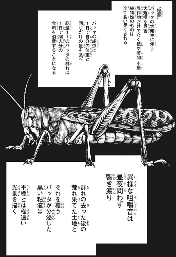 銅製　蝗　バッタ 福光村昆虫記（バッタ，イナゴ）