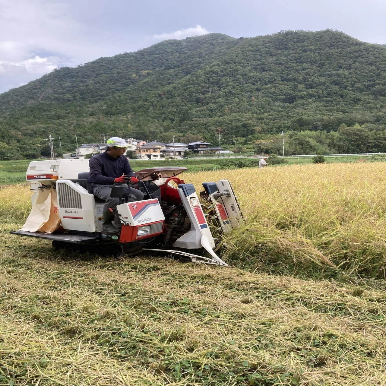 稲刈りしました❗️ コンバインって凄いですね❗️｜大橋あきひさ 農薬 