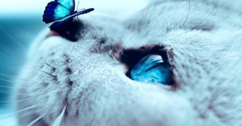 2ヶ月遅れても検査結果は陰性でしょうか？