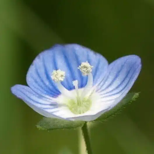 瀬戸 裕紀