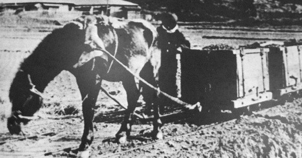 f7116167d42430e331dcb426c8b5d3