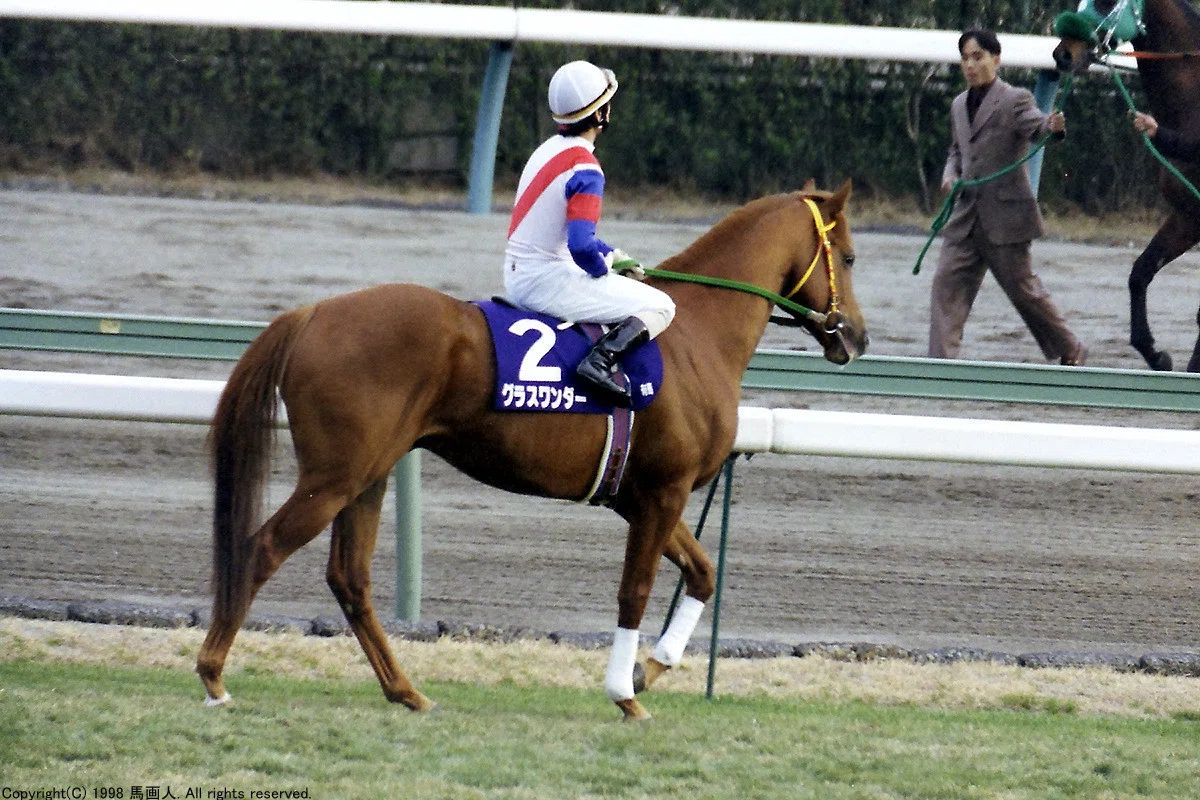 第43回有馬記念：蔵出し写真 1998年②グラスワンダー｜馬画人 (まがじん)