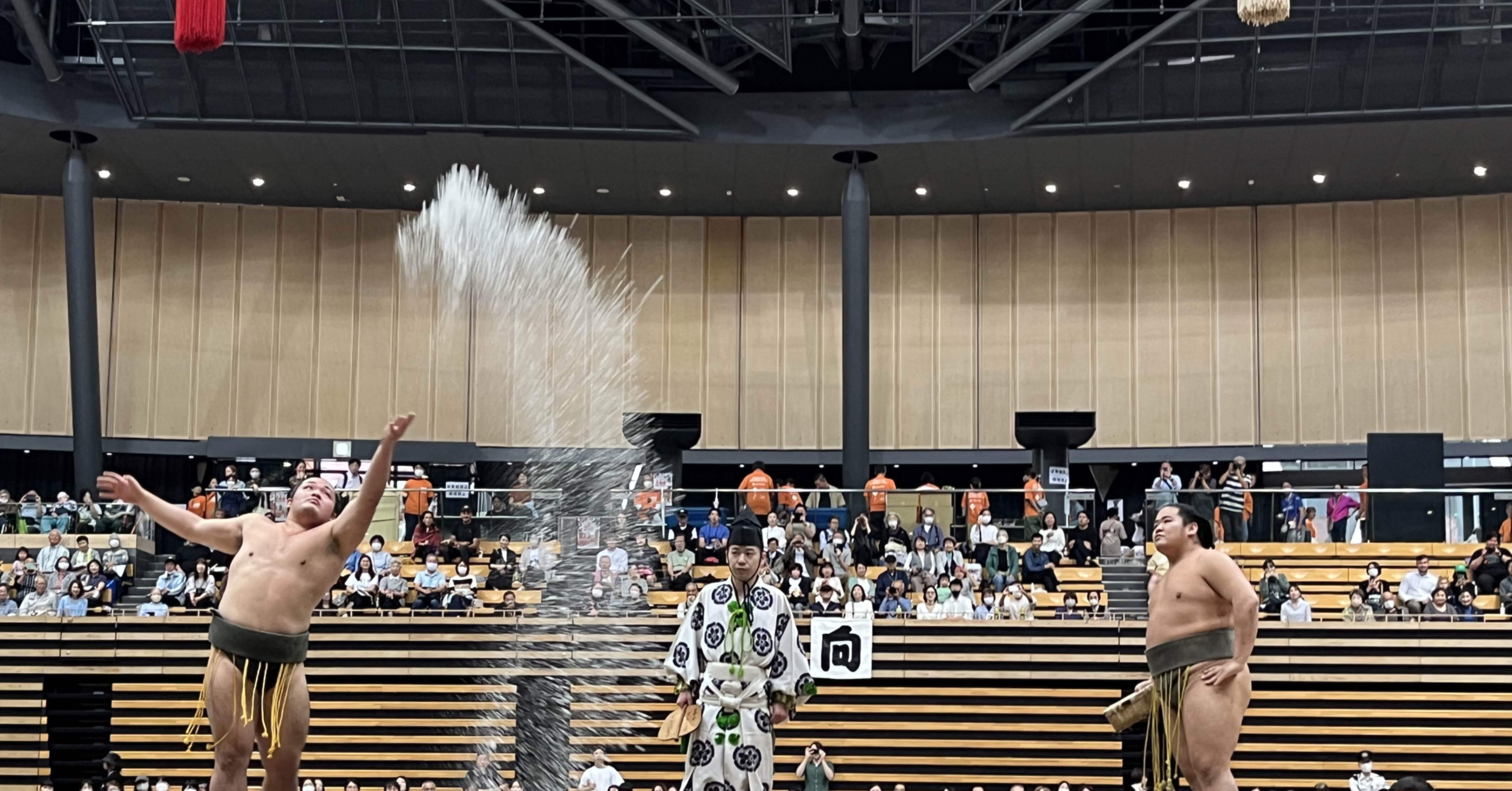 ce6690555fa72c24f793ed1f30676b