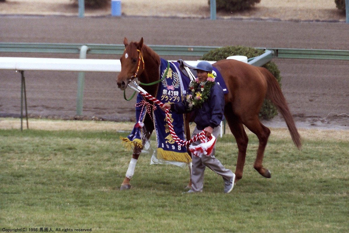 第43回有馬記念：蔵出し写真 1998年②グラスワンダー｜馬画人 (まが 