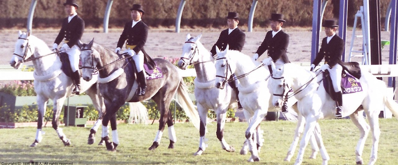 第43回有馬記念:蔵出し写真 1998年②グラスワンダー|馬画人 第43回有馬記念:蔵出し写真 1998年②グラスワンダー|馬画人