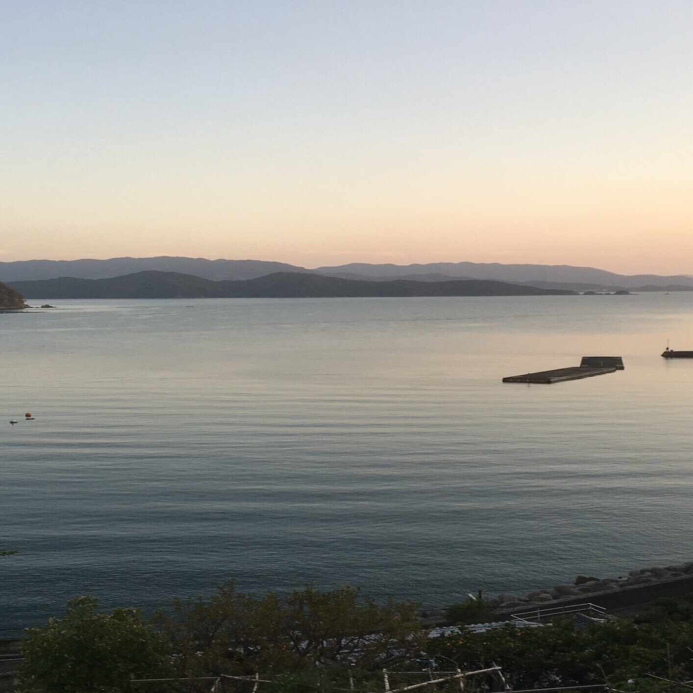 人と苺を育てる星詠み