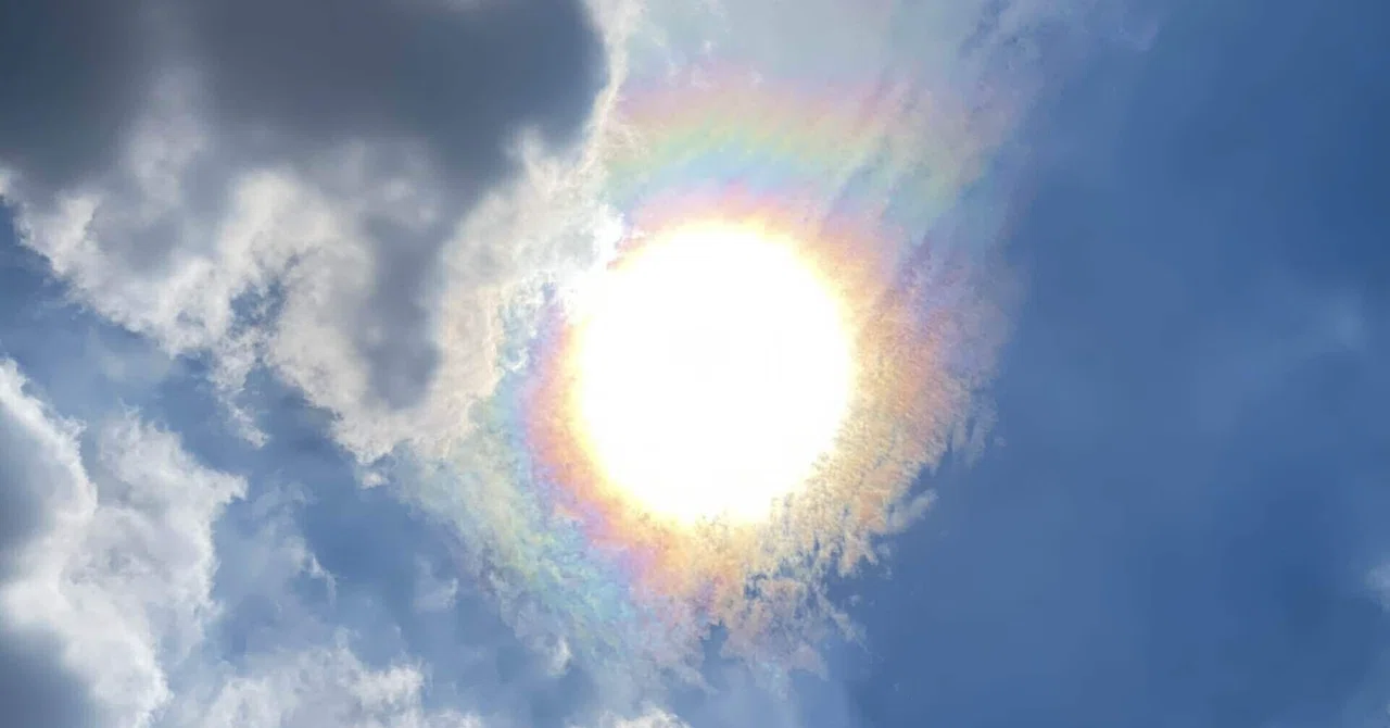 北風と太陽｜歓怒（かんど）