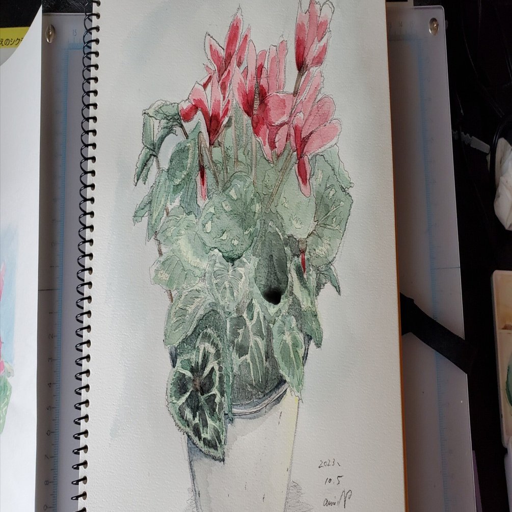 風景スケッチ③鉢植えシクラメン②｜二本柳亜美