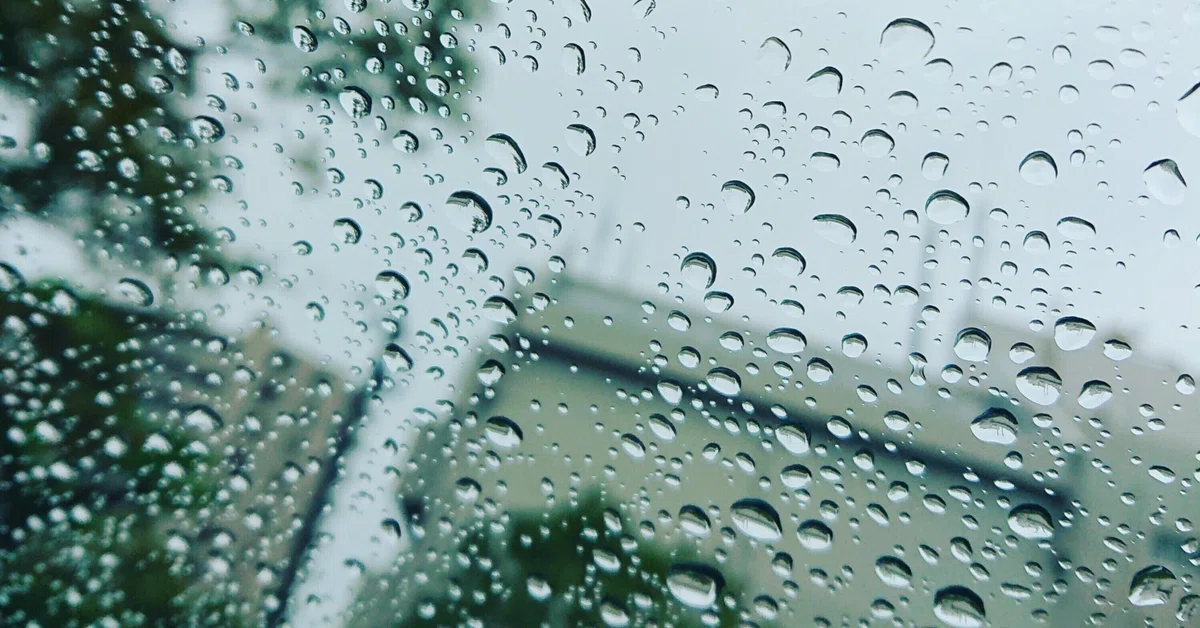 [Short Story] Why Don't We Stop Talking About the Weather｜花咲ありす
