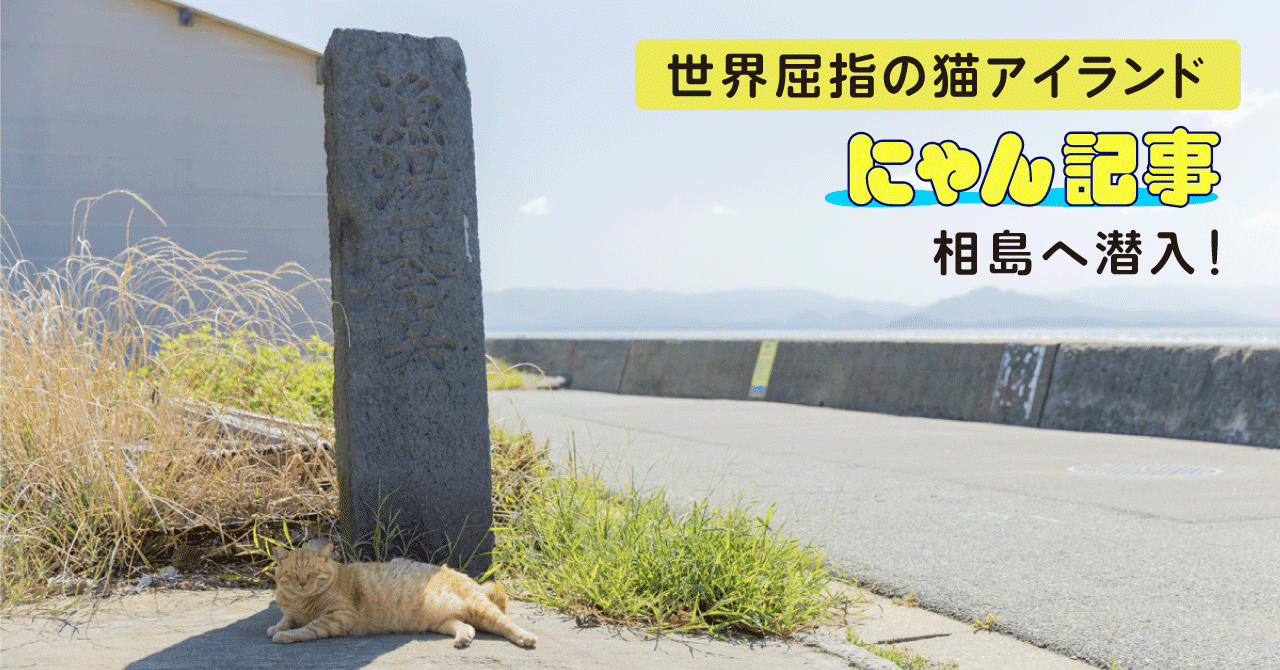 世界屈指の猫アイランドへ潜入！―福岡・相島の魅力をお届け―｜ヤマト