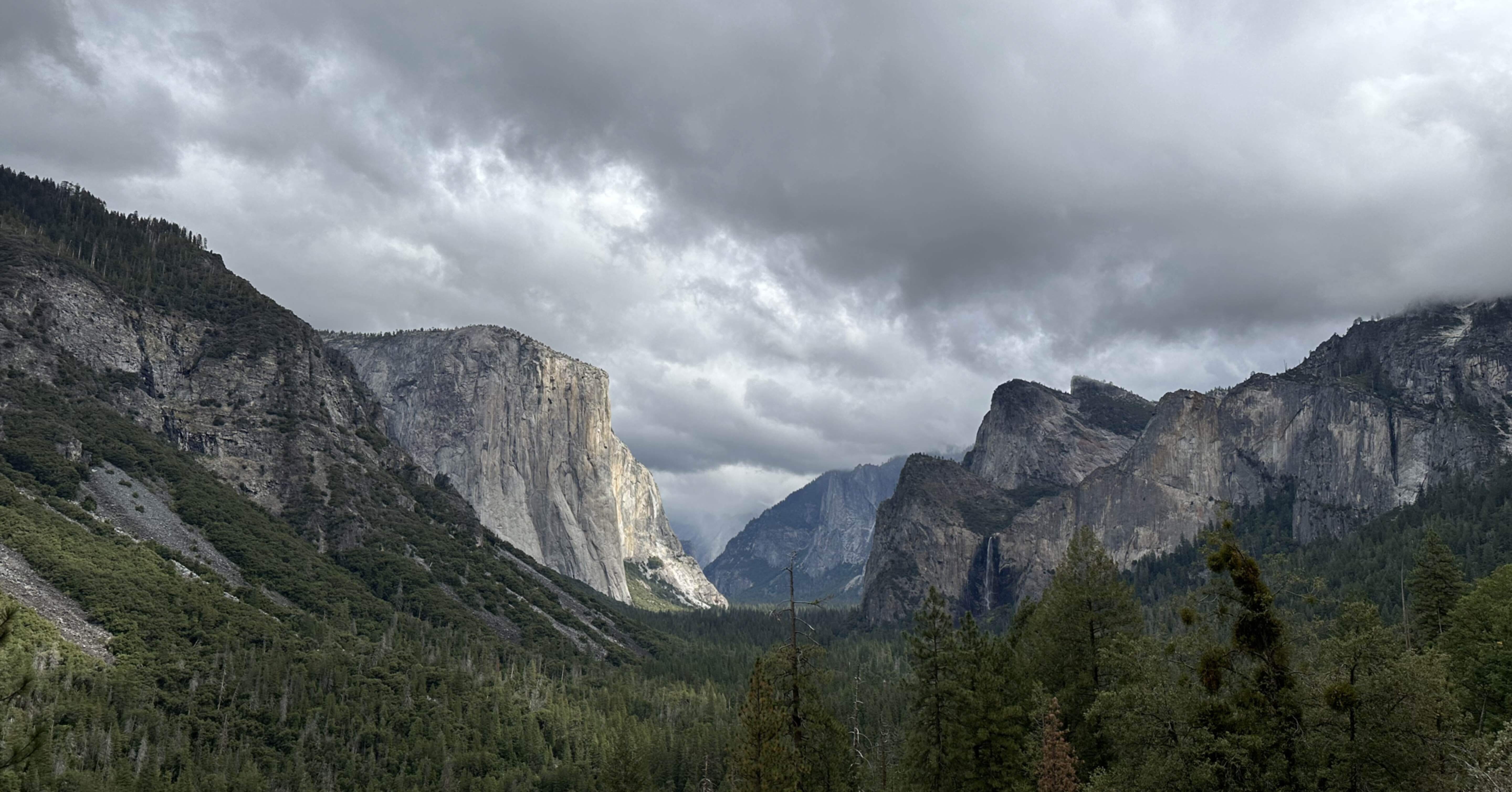 ヨセミテ国立公園に行ってきた話｜ていちょう