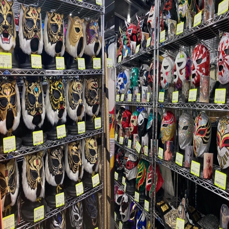 格闘技の殿堂「闘道館」、特にプロレス💪｜野猿（やえん）