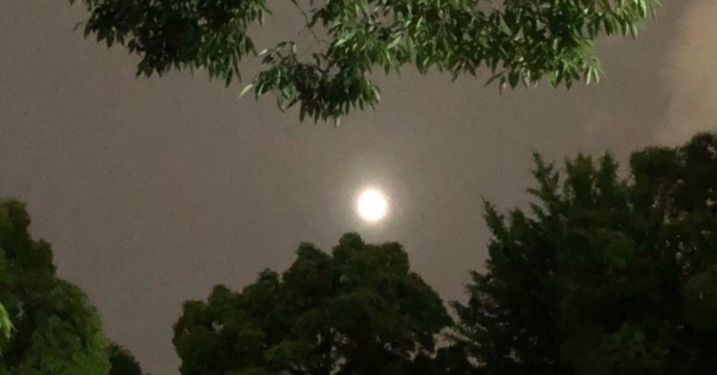 不安の山でぺっちゃんこ 3103 Note