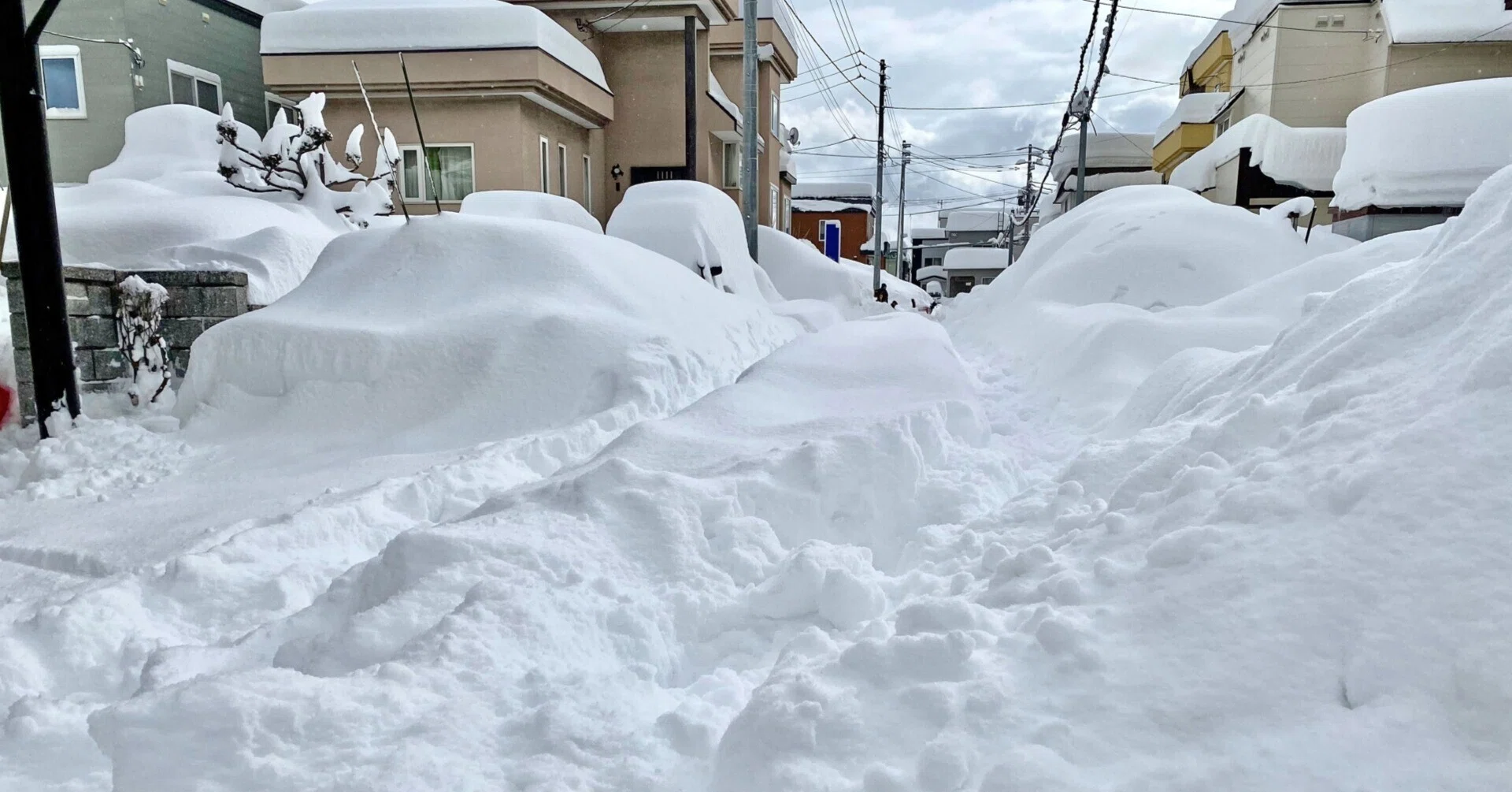 北海道の冬でも大活躍！電動除雪機の魅力と活用法｜ハイガー電動除雪機紹介