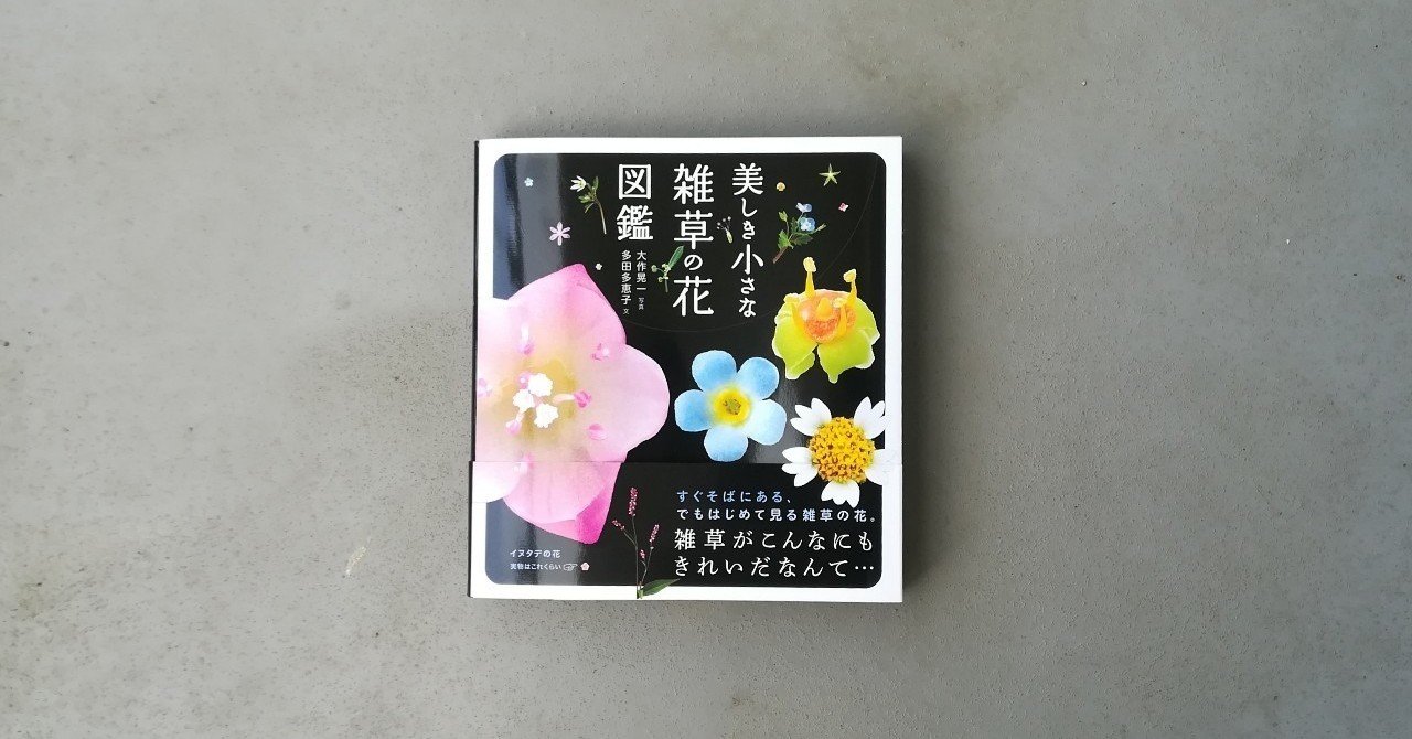 多田多恵子 の新着タグ記事一覧 Note つくる つながる とどける