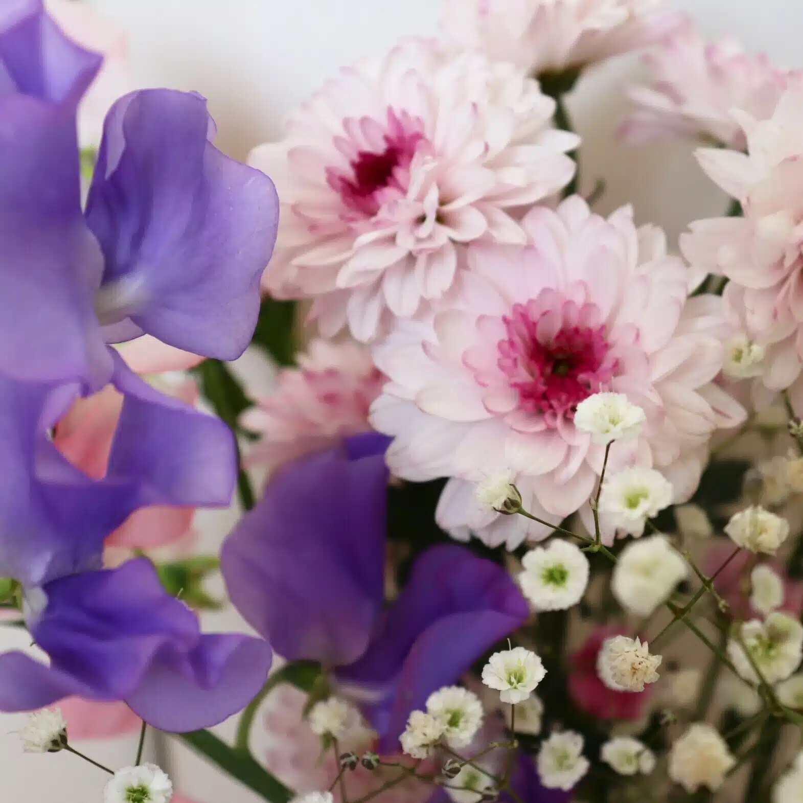 ❁❁ハナ